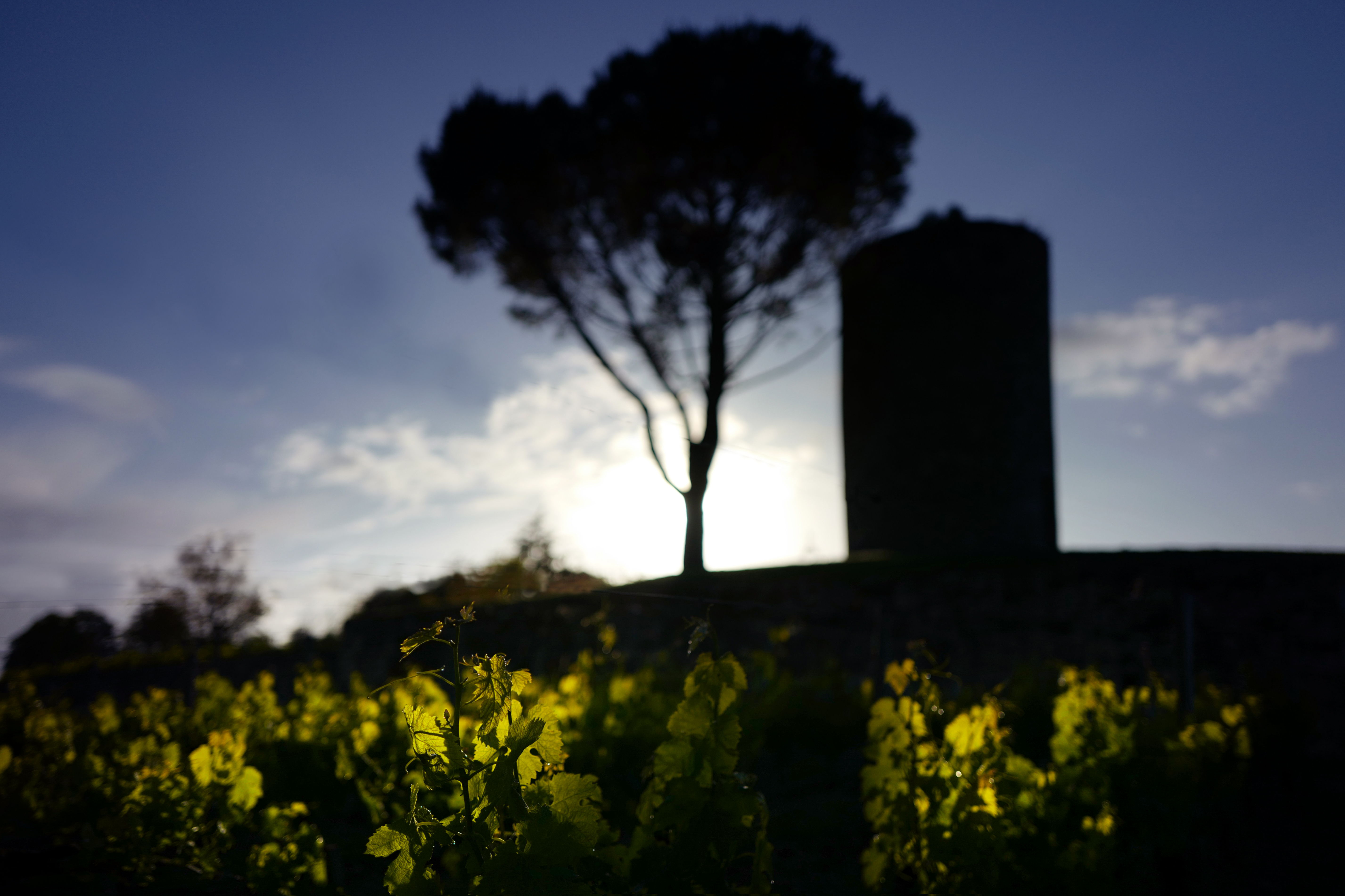 Sunrise sur le château Berliquet près du village de Saint-Emilion